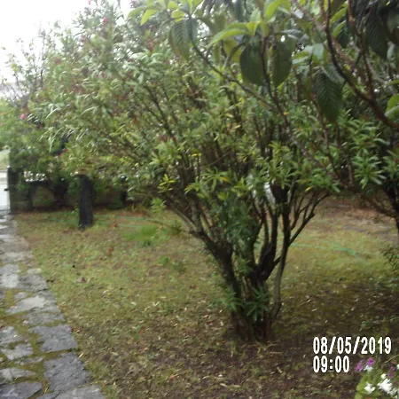 Boa Vivenda Casa vacanze Carcavelos (Lisbon)